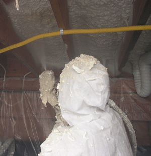 Lancaster PA crawl space insulation